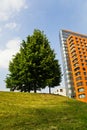 Buildings and trees Royalty Free Stock Photo