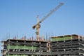 Buildings under construction and cranes