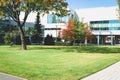 Buildings, windows, trees, study. A part of white buildings with windows, trees and gazon