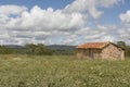 Clay house on Brazilian dry hinterlands