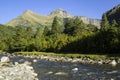 Bujaruelo Valley in the Pyrenees mountains in spring with the Ara river in foreground Royalty Free Stock Photo