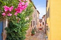 Buje. Town of Buje cobbled old colorful steet view