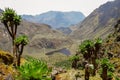 Bujuku Valley in the Rwenzori Mountains, Uganda