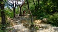 Bukhansan National Park, Seoul, South Korea - July 6th 2015: Solo hiker walks up the hill