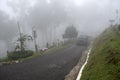 Bukit Larut is one of tourist attraction in Taiping can be reached by 4x4 ride with serene foggy environment weather - Formerly