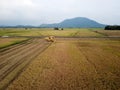 Aerial view harvester collect crop in paddy field.