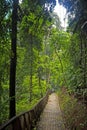 BUKIT NANAS - KUALA LUMPUR