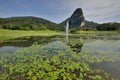 Bukit Takun, Templer Park Royalty Free Stock Photo