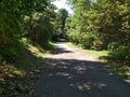 Bukit Timah nature reserve track