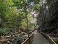 Bukit Wang Recreational Forest in Jitra, Kedah, Malaysia.