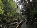 Bukit Wang Recreational Forest in Jitra, Kedah, Malaysia.