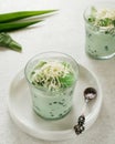 Buko Pandan, a dessert from Philippines, made from jelly, young coconut, evaporated milk, sweetened condensed milk, and ice. Royalty Free Stock Photo