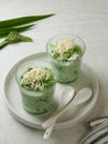 Buko Pandan, a dessert from Philippines, made from jelly, young coconut, evaporated milk, sweetened condensed milk, and ice. Royalty Free Stock Photo