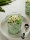 Buko Pandan, a dessert from Philippines, made from jelly, young coconut, evaporated milk, sweetened condensed milk, and ice. Royalty Free Stock Photo