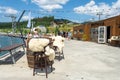 Bukovel. Ukraine. 17. July. 2021. Lake of Youth. A beautiful cafe on the beach of a mountain lake. Carpathians. Summer rest Royalty Free Stock Photo