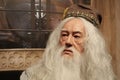 Albus Percival Wulfric Brian Dumbledore - fictional character