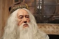 Albus Percival Wulfric Brian Dumbledore - fictional character