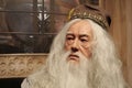 Albus Percival Wulfric Brian Dumbledore - fictional character