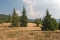 Bukowina Wakzmundzka hill in Gorce mountains