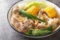 Bulalo is a beef dish from the Philippines soup made by cooking beef shanks and bone marrow with cabbage, corn, scallions, onions Royalty Free Stock Photo
