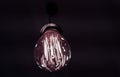 Bulb Royalty Free Stock Photo