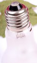 Bulb base Royalty Free Stock Photo