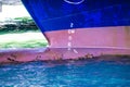 Bulb bow and depth markings on the bow of a large ship.. Royalty Free Stock Photo