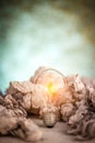 Bulb for brain storm concept Royalty Free Stock Photo