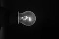 Bulb in the darkroom