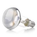 Bulb E14 Royalty Free Stock Photo