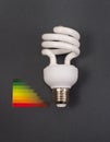 Bulb with energy efficiency chart Royalty Free Stock Photo