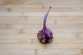 Bulb of fresh pungent purple garlic Royalty Free Stock Photo
