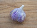 Bulb of garlic close-up on a wooden background. Agriculture