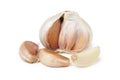 Bulb garlic and cloves