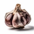 A bulb of garlic isolated on a pure white background