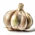 A bulb of garlic isolated on a pure white background