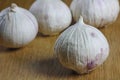 Bulb garlics Royalty Free Stock Photo