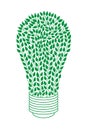 Bulb of green leaves on a white background. Green energy.