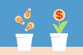 Bulb idea and money planting Royalty Free Stock Photo