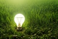 Bulb illuminating green grass, symbolizing green power, environmental protection