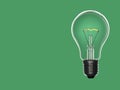 Bulb light over green Royalty Free Stock Photo