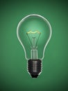 Bulb light over green Royalty Free Stock Photo