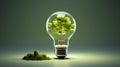 Bulb light with tree, concept of Earth Day or World Environment Day. Royalty Free Stock Photo