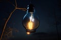 Bulb light vintage night background. Decorative outdoor string lights hanging. Night background.