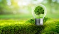 The bulb is located on the inside with leaves forest and the trees are in the light. Concepts of environmental conservation and Royalty Free Stock Photo