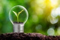 The bulb is located on the inside with leaves forest and the trees are in the light. Concepts of environmental conservation and gl Royalty Free Stock Photo