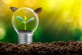 The bulb is located on the inside with leaves forest and the trees are in the light. Concepts of environmental conservation and