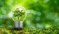 The bulb is located on the inside with leaves forest and the trees are in the light. Concepts of environmental conservation and Royalty Free Stock Photo