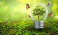 The bulb is located on the inside with leaves forest and the trees are in the light. Concepts of environmental conservation and Royalty Free Stock Photo