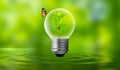 The bulb is located on the inside with leaves forest and the trees are in the light. Concepts of environmental conservation and